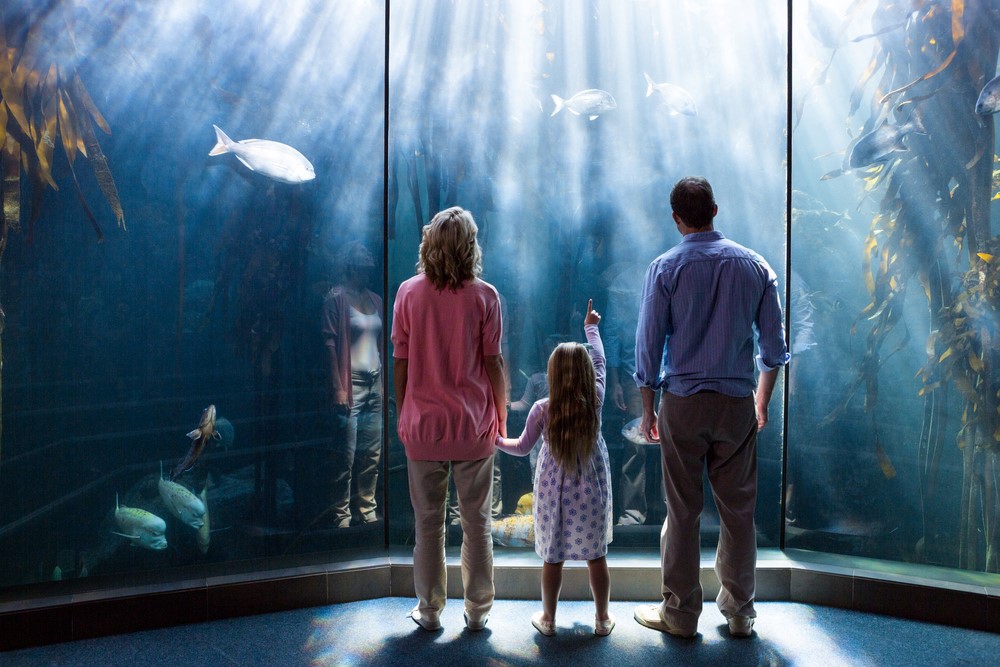 Small family at the aquarium looking at fish